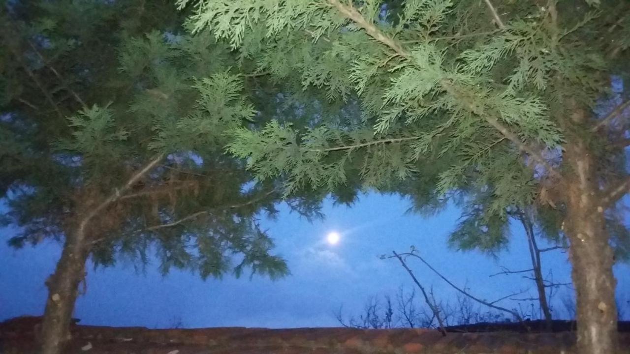 Nimet Hanim Konagi سافرانبولو المظهر الخارجي الصورة